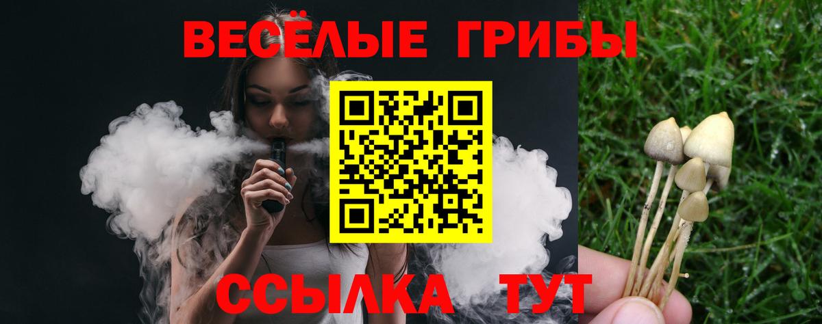 Карпинск  Галлюциногенные грибы Psilocybine cubensis  Вход с VPN 